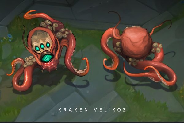 Kraken 12